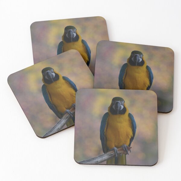 Item preview, Autumn Macaw designed and sold by Kim Pruim.