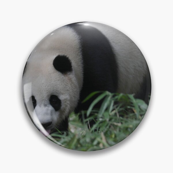 Item preview, Panda Tongue designed and sold by Kim Pruim.