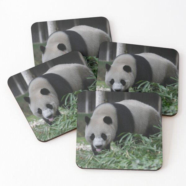 Item preview, Panda Tongue designed and sold by Kim Pruim.