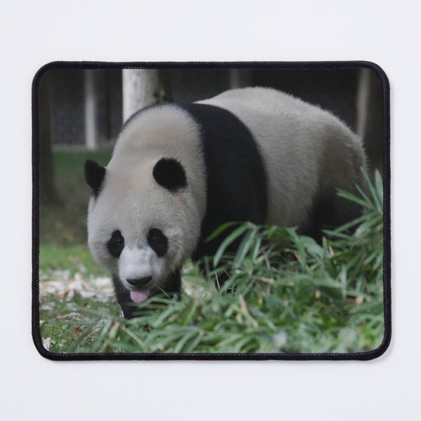 Item preview, Panda Tongue designed and sold by Kim Pruim.
