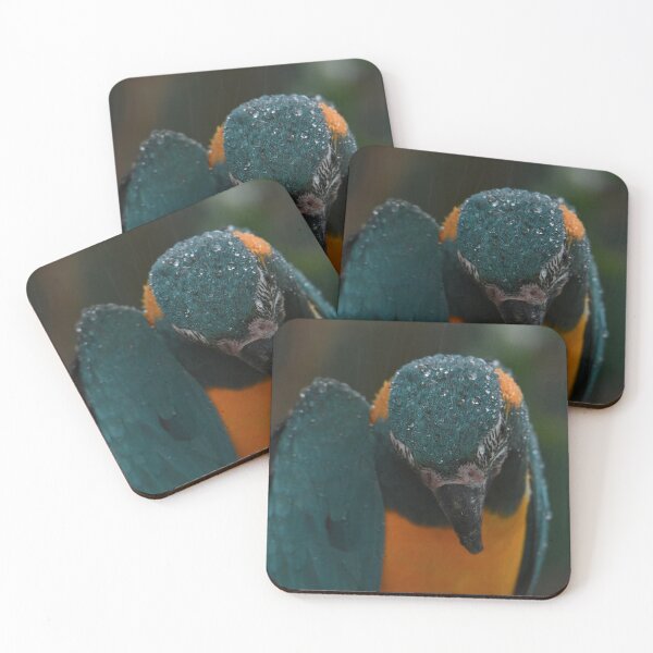 Item preview, Morning Shower designed and sold by Kim Pruim.