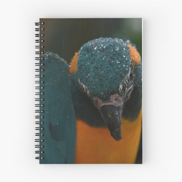 Item preview, Morning Shower designed and sold by Kim Pruim.
