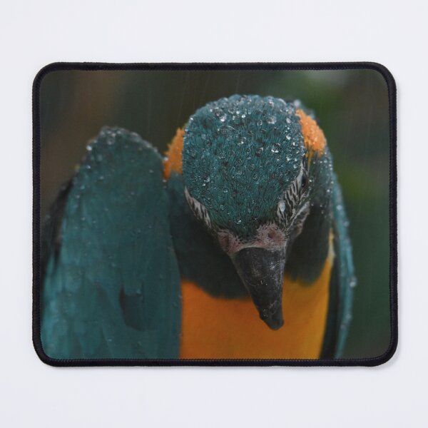 Item preview, Morning Shower designed and sold by Kim Pruim.
