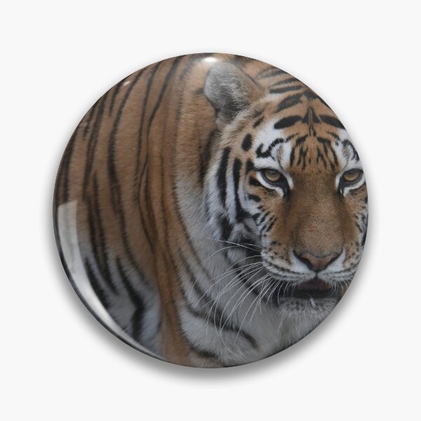 Item preview, Approaching Tiger designed and sold by Kim Pruim.