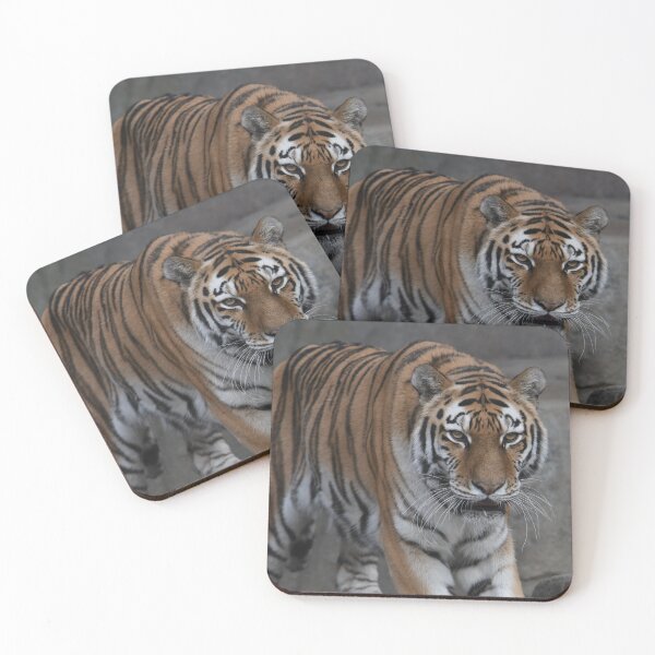 Item preview, Approaching Tiger designed and sold by Kim Pruim.