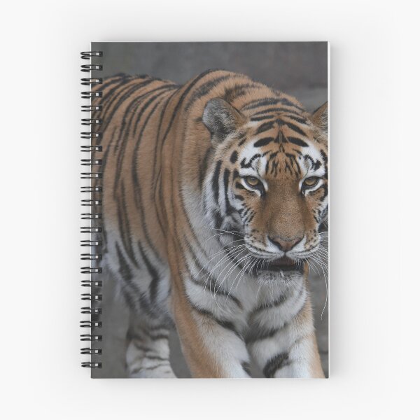 Item preview, Approaching Tiger designed and sold by Kim Pruim.