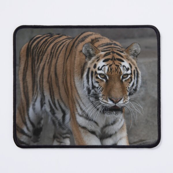 Item preview, Approaching Tiger designed and sold by Kim Pruim.