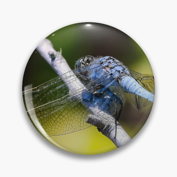 Item preview, Blue Dragonfly 6751 designed and sold by kevin Chippindall.
