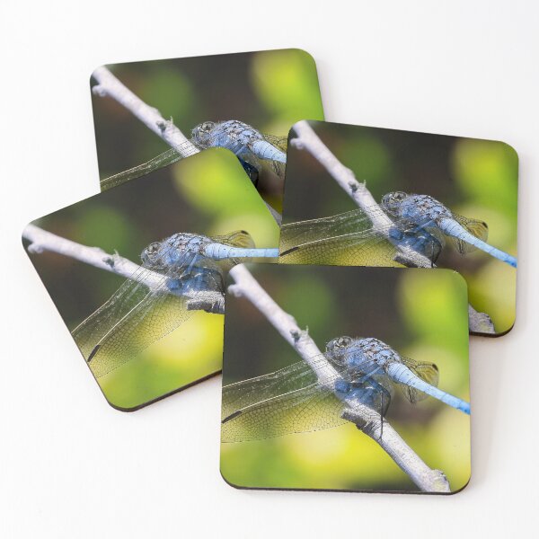 Item preview, Blue Dragonfly 6751 designed and sold by kevin Chippindall.