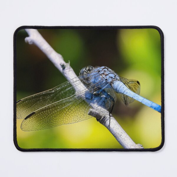 Item preview, Blue Dragonfly 6751 designed and sold by kevin Chippindall.