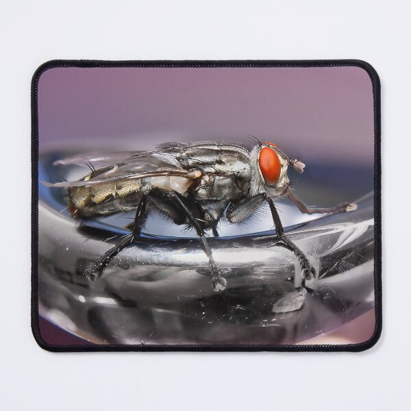 Item preview, Fly on a tap 876 designed and sold by kevin Chippindall.
