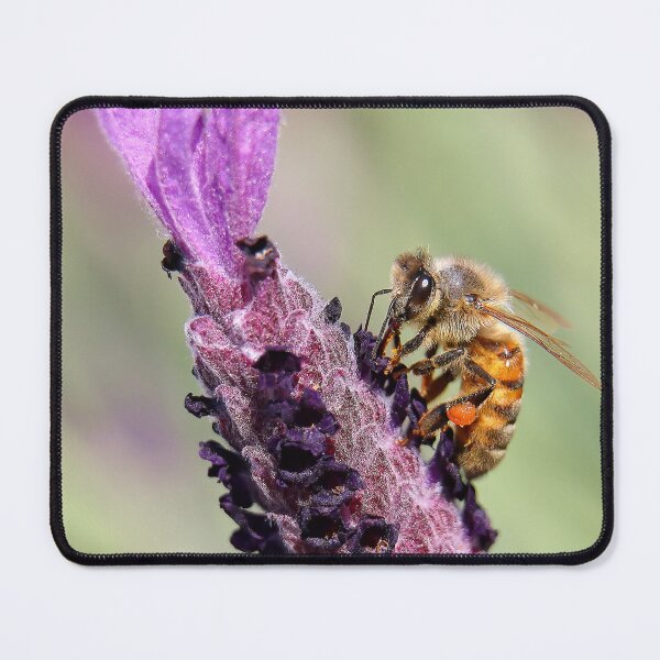 Item preview, The beauty of nature 99372 designed and sold by kevin Chippindall.
