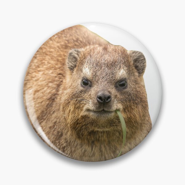 Item preview, hyrax eating leaf designed and sold by wawawover.