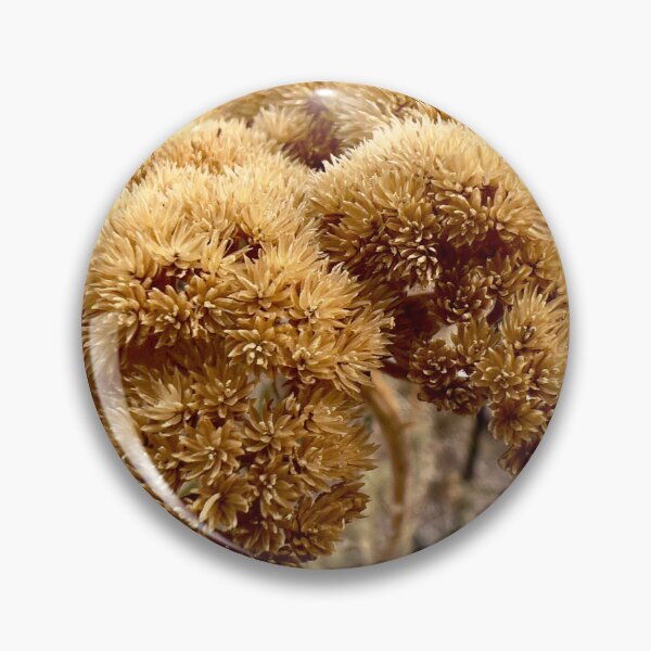 Item preview, Fernleaf Yarrow designed and sold by Betsy Phillips.