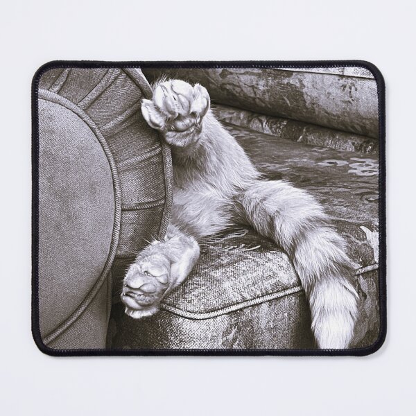 Item preview, Crash Landing Kitty designed and sold by Redmist65.