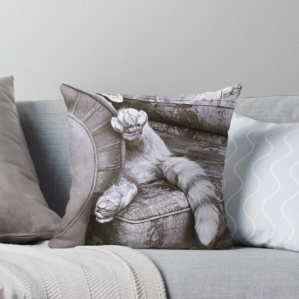 Item preview, Crash Landing Kitty designed and sold by Redmist65.