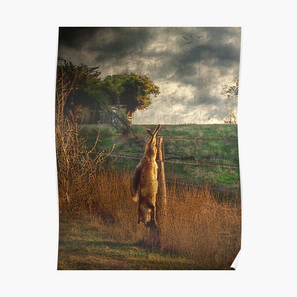 Fox hunt Poster