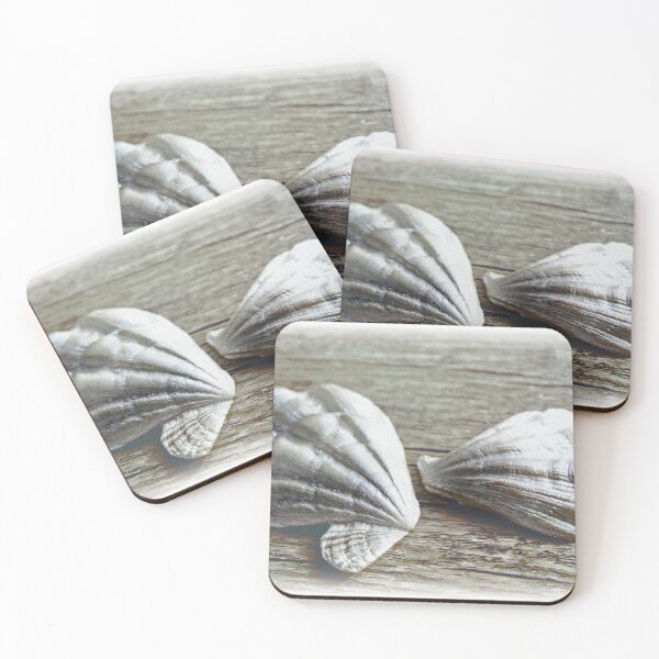 Item preview, Shells designed and sold by Kacharava.