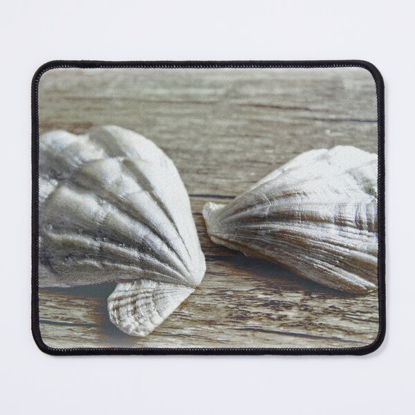 Item preview, Shells designed and sold by Kacharava.