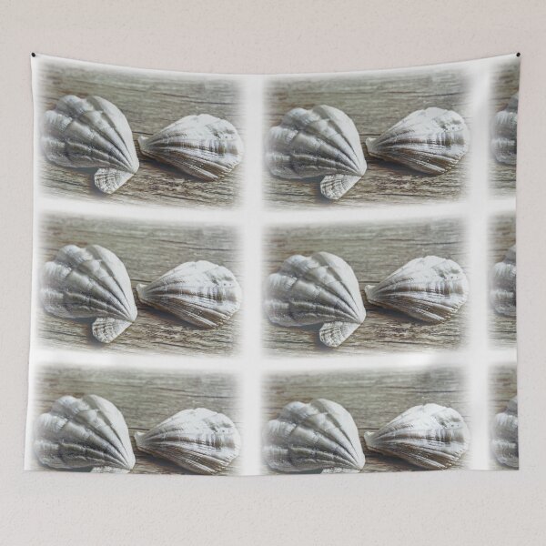 Item preview, Shells designed and sold by Kacharava.