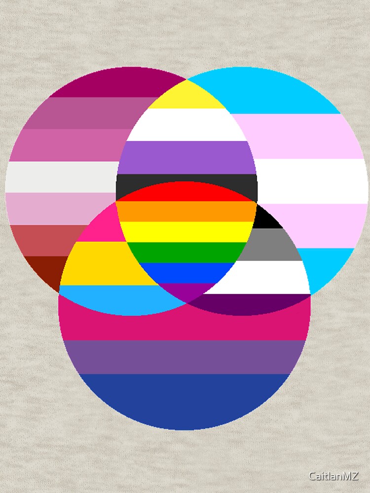 "Pride Flags Venn Diagram" Zipped Hoodie by CaitlanMZ Redbubble