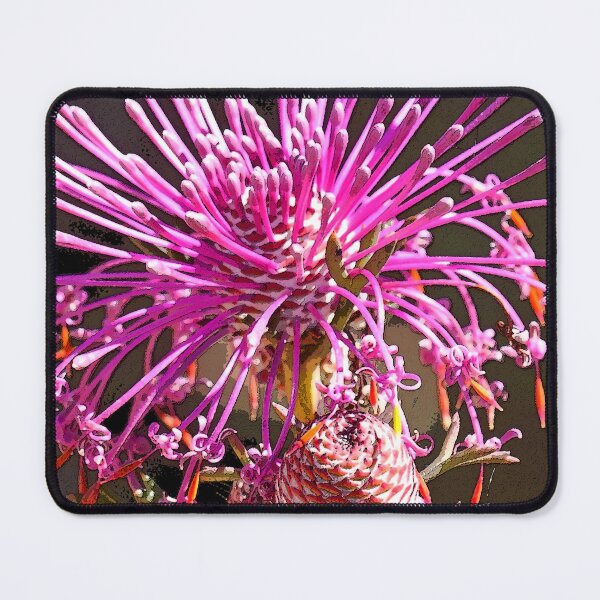 Item preview, Pixie Mop. Ambergate Reserve. Busselton Western Australia designed and sold by Leonie Mac Lean.