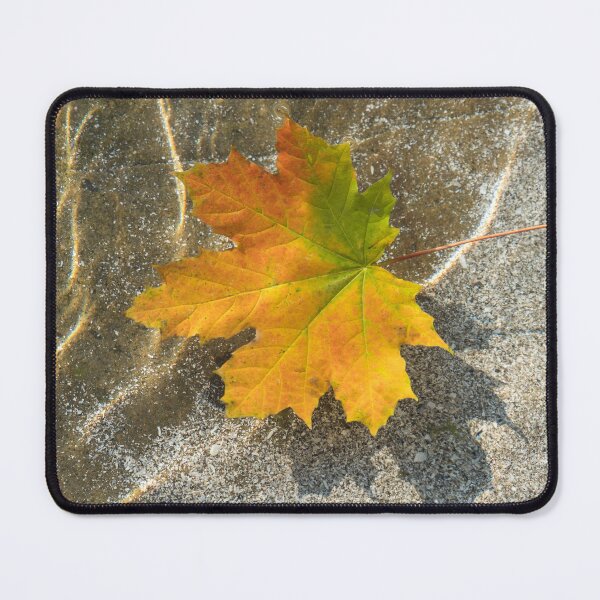 Item preview, Multicolored Maple Leaf Afloat designed and sold by Georgia Mizuleva.