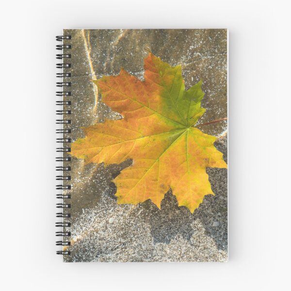 Item preview, Multicolored Maple Leaf Afloat designed and sold by Georgia Mizuleva.