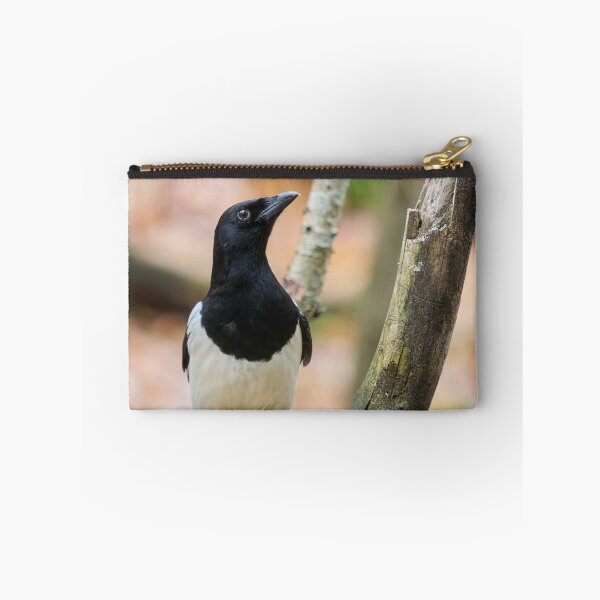 Item preview, Look up look high. Eurasian magpie designed and sold by Jouko Lehto Photography.