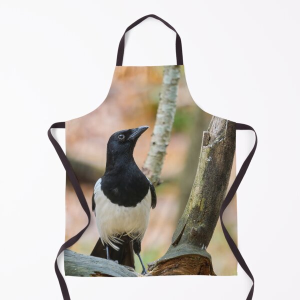 Item preview, Look up look high. Eurasian magpie designed and sold by Jouko Lehto Photography.