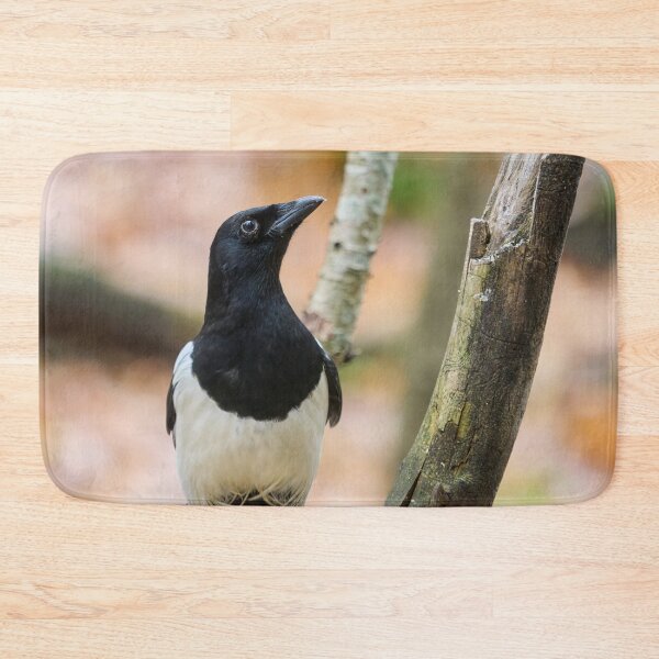 Item preview, Look up look high. Eurasian magpie designed and sold by Jouko Lehto Photography.
