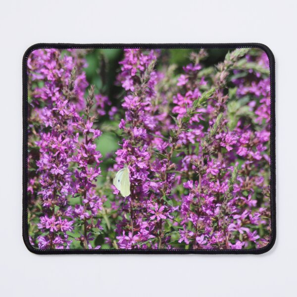 Item preview, Small white butterfly on a purple flower designed and sold by Marije Kouyzer.