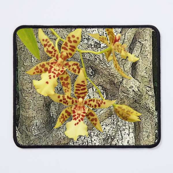 Item preview, Rainforest strangler fig and orchids designed and sold by Leonie Mac Lean.