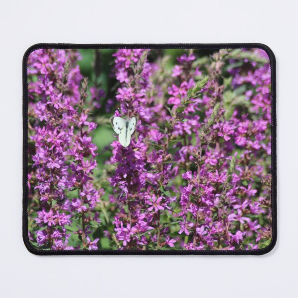 Item preview, Small white butterfly on a purple flower designed and sold by Marije Kouyzer.