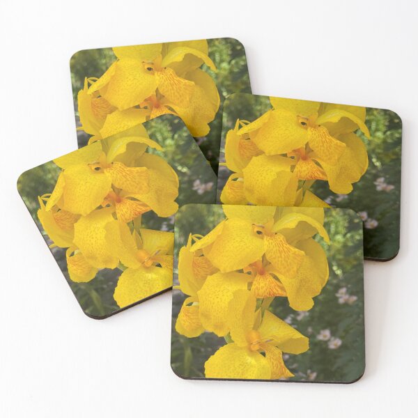 Item preview, Orchid in the Sun designed and sold by Ruth Jolly.