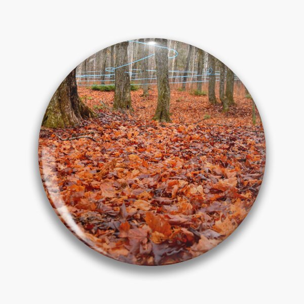 Item preview, A maple grove in the fall designed and sold by Claude Laprise.