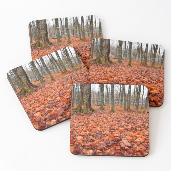 Item preview, A maple grove in the fall designed and sold by Claude Laprise.