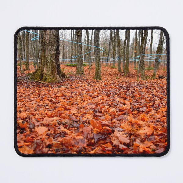 Item preview, A maple grove in the fall designed and sold by Claude Laprise.