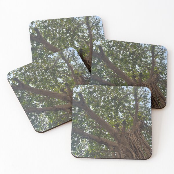 Item preview, Beautiful Tree Silhouettes in front of Clouds 100 designed and sold by JashJhaveri.