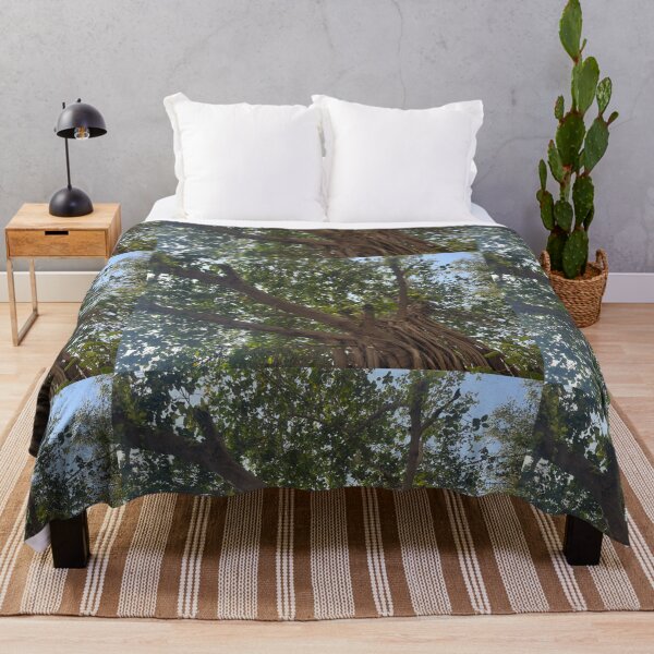Item preview, Beautiful Tree Silhouettes in front of Clouds 100 designed and sold by JashJhaveri.
