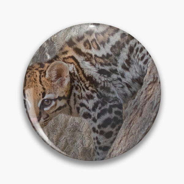 Item preview, Oh, Ocelot aren't you gorgeous designed and sold by Ruth Jolly.