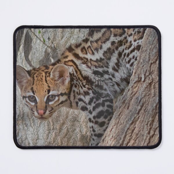 Item preview, Oh, Ocelot aren't you gorgeous designed and sold by Ruth Jolly.