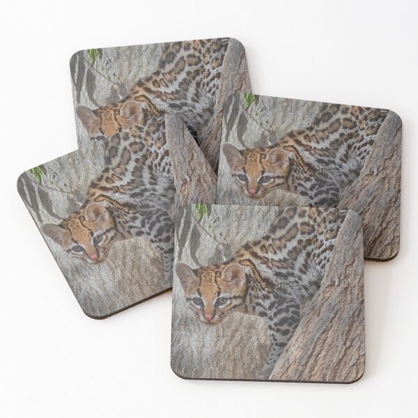 Item preview, Oh, Ocelot aren't you gorgeous designed and sold by Ruth Jolly.
