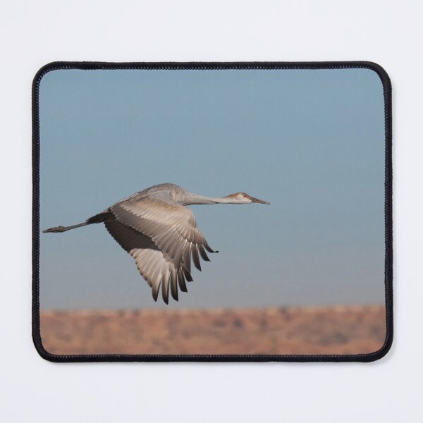 Item preview, Juvenile Crane and clear skies designed and sold by Ruth Jolly.