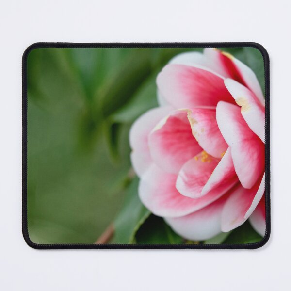 Item preview, Camelia Rose designed and sold by Ruth Jolly.