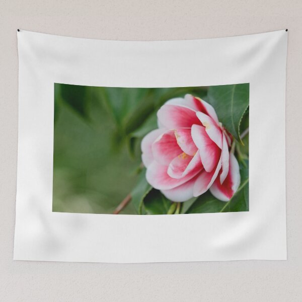 Item preview, Camelia Rose designed and sold by Ruth Jolly.