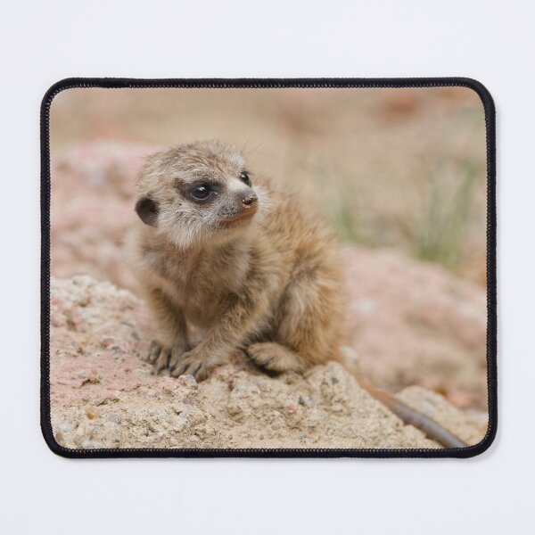 Item preview, Cute Meerkat Pup designed and sold by tomaszpodlak.