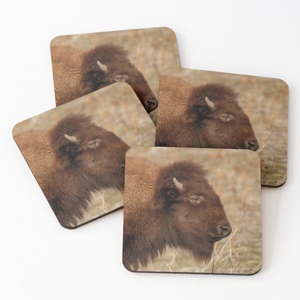 Item preview, Buffalo Portrait  designed and sold by Ruth Jolly.