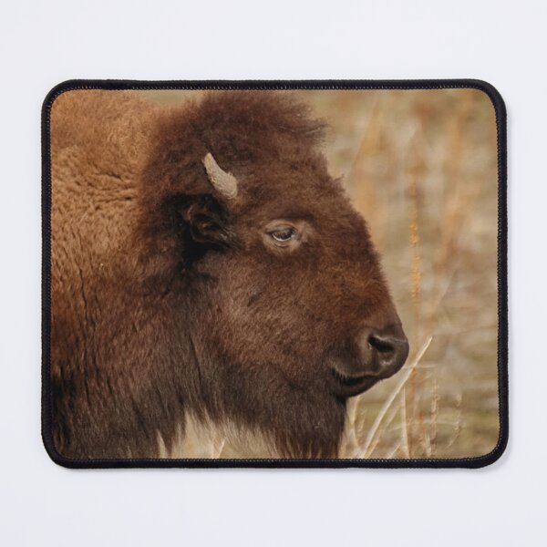 Item preview, Buffalo Portrait  designed and sold by Ruth Jolly.