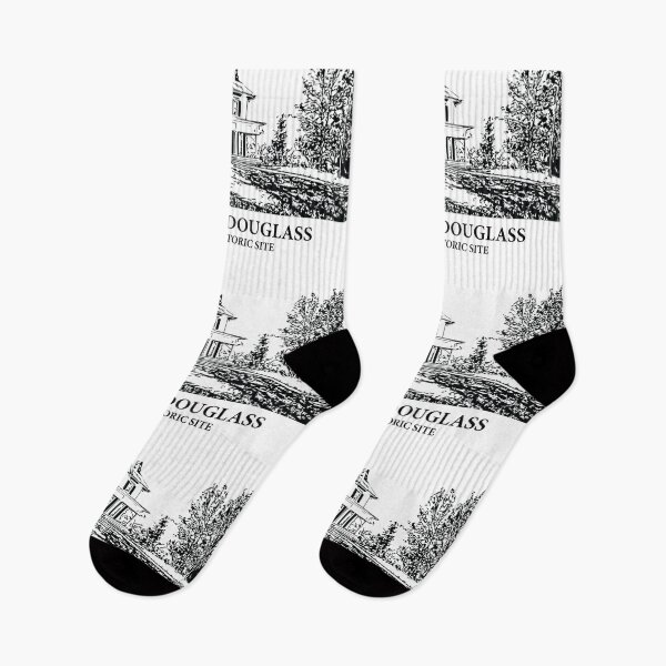 Item preview, Frederick Douglass National Historic Site designed and sold by Lakeric Cityscapes.